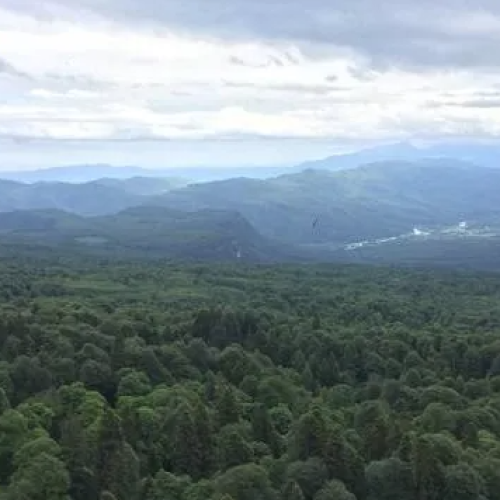 Термы: санаторно-курортное путешествие