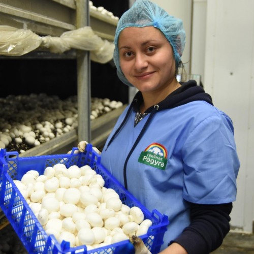Woman holding crate of mushrooms