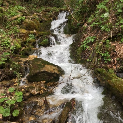 Torrent