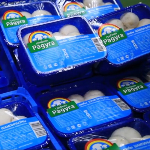 Packaged mushrooms